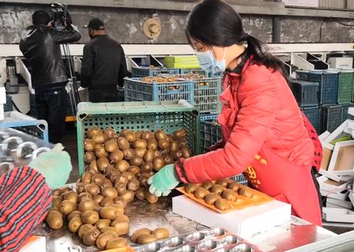 "直播 电商 短视频"助推农产品销售,"陕货"出村进城了!