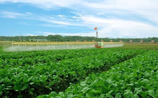 推广绿色农业技术,助力打造粤港澳绿色农产品生产供应基地