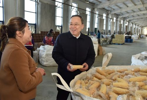 王文力 全面提升为企服务效能 促进民营经济发展壮大 以新质生产力为高质量发展可持续振兴注入强大动力凤凰网黑龙江 凤凰网